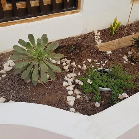 Mantra Del Sur Apartament Los Cristianos (Tenerife)